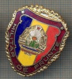 ZET 645 INSIGNA ,,MILITAR DE FRUNTE&quot; - PERIOADA RSR - PENTRU NOSTALGICI
