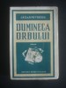 CEZAR PETRESCU - DUMINECA ORBULUI {1934, prima editie, coperti originale}, Alta editura