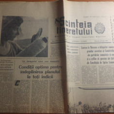 ziarul scanteia tineretului 24 iulie 1963-articolul in satul lui cosbuc