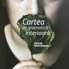 CARTEA DE GRAMATICA INTERIOARA - David Grossman