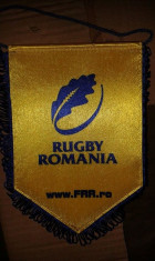 fanion rugby foto