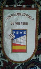 fanion volei foto