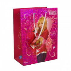 Punga pentru cadou Hannah Montana, 32.5 x 26 cm, Multicolor foto