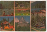 bnk cp Lacu Rosu - Vedere - necirculata