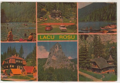 bnk cp Lacu Rosu - Vedere - necirculata foto