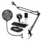 Auna MIC-900WH, USB, set de microfon, set V4, alb, microfon condensator, filtru pop, bra? de microfon