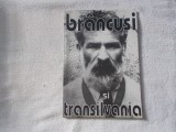 Brancusi si Transilvania - C. Zarnescu