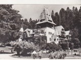 Bnk cp Sinaia - Pelisorul - circulata, Printata
