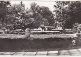 Bnk cp Buzias - Vedere din parc - circulata, Printata