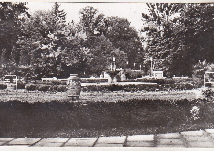 bnk cp Buzias - Vedere din parc - circulata
