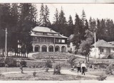 bnk cp Borsec - Vedere - circulata