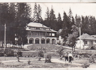 bnk cp Borsec - Vedere - circulata foto
