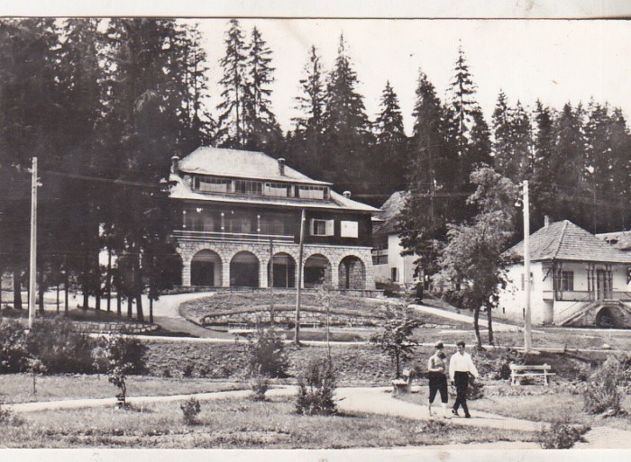 bnk cp Borsec - Vedere - circulata