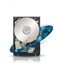 Hard disk server Seagate server 1TB SAS 7200 rpm 128MB Constellation ES.3 foto