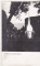 Foto  - 1
