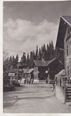 bnk cp Paltinis - Vedere din statiune - uzata foto