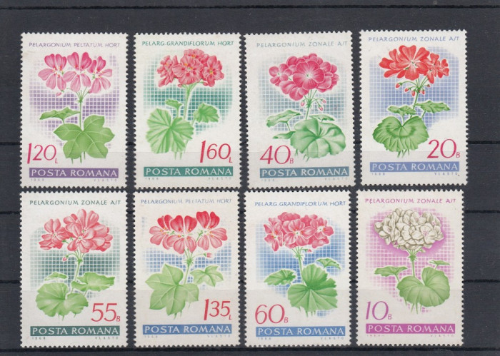 ROMANIA 1968 LP 678 MUSCATE DE GRADINA SERIE MNH