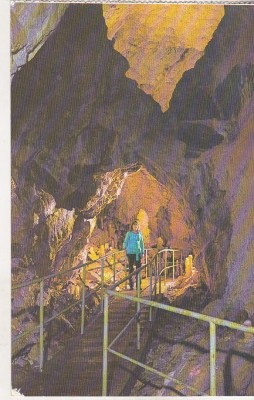 bnk cp Pestera Ursilor - Chiscau ( Jud Bihor ) - uzata foto
