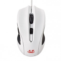 Mouse Gaming Asus Cerberus Arctic 2500 Dpi White foto