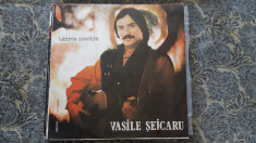 Vasile Seicaru Iubirea Noastra STARE FOARTE BUNA . foto