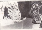 bnk foto - Cheile Dambovicioarei - anii `70