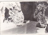 Bnk foto - Cheile Dambovicioarei - anii `70, Alb-Negru, Romania de la 1950, Natura