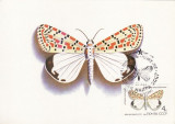 5683 - Rusia 1987 - carte maxima fluturi