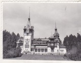 Bnk foto - Sinaia - Castelul Peles - anii `60, Alb-Negru, Romania de la 1950, Cladiri