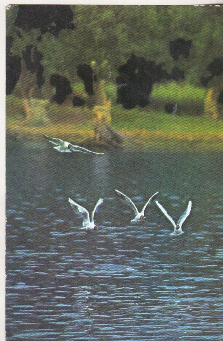 bnk cp In Delta Dunarii - Vedere - uzata