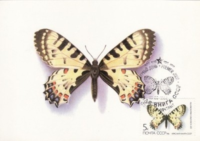 5684 - Rusia 1986 - carte maxima fluturi foto