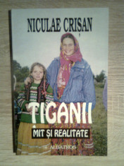Niculae Crisan - Tiganii - mit si realitate (Editura Albatros, 1999) foto