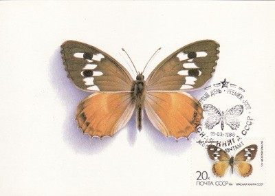 5687 - Rusia 1986 - carte maxima foto