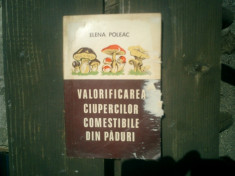 Valorificarea ciupercilor comestibile din paduri - Elena Poleac foto