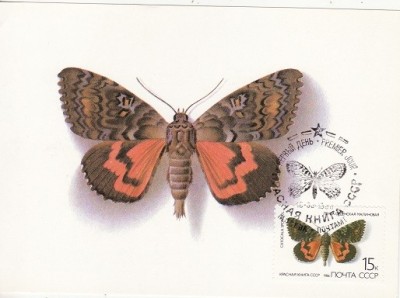 5686 - Rusia 1986 - carte maxima foto