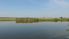 Teren intravilan pe malul lacului Crevedia, 2 loturi foto