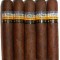 Cohiba e-solid