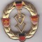 Insigna de armata