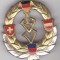 Insigna de armata