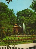 CPI (B8709) CARTE POSTALA - BUZIAS. VEDERE DIN PARC, Circulata, Fotografie