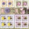FLORI CACTUSI - MINISHEET ,2016,MNH ROMANIA .