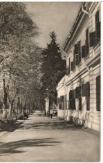 CPI (B8717) CARTE POSTALA - ORADEA. BAILE VICTORIA, RPR