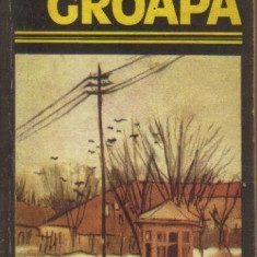 Eugen Barbu - Groapa