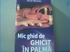 Rene Brunin - MIC GHID DE GHICIT IN PALMA { 2014 } foto