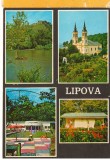 CPI (B8772) CARTE POSTALA - LIPOVA, MOZAIC