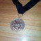 Medalion/Medalie/pandantiv metalica cu Piratii