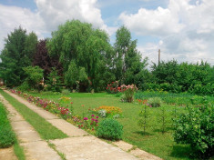 Casa si gradina Poienarii Burchii, jud Prahova-45km Bucuresti, la 8 km de DN1 foto