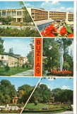CPI (B8779) CARTE POSTALA - BUZIAS, MOZAIC, Circulata, Fotografie