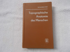 Topographische anatomie - Schumacher foto