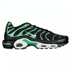 Nike Air Max Plus | 100% originali, import SUA, 10 zile lucratoare - eb260617a foto