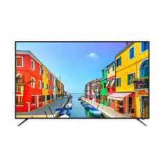 Televizor LED 165cm Smarttech LE-6566 Full HD foto